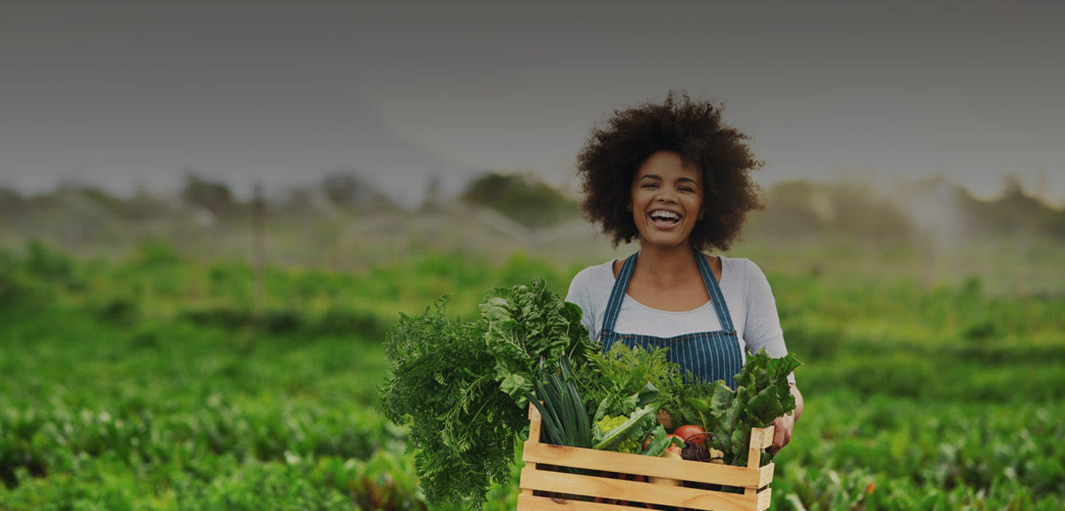 Local Farmer's Markets in the East Bay Cush Real Estate