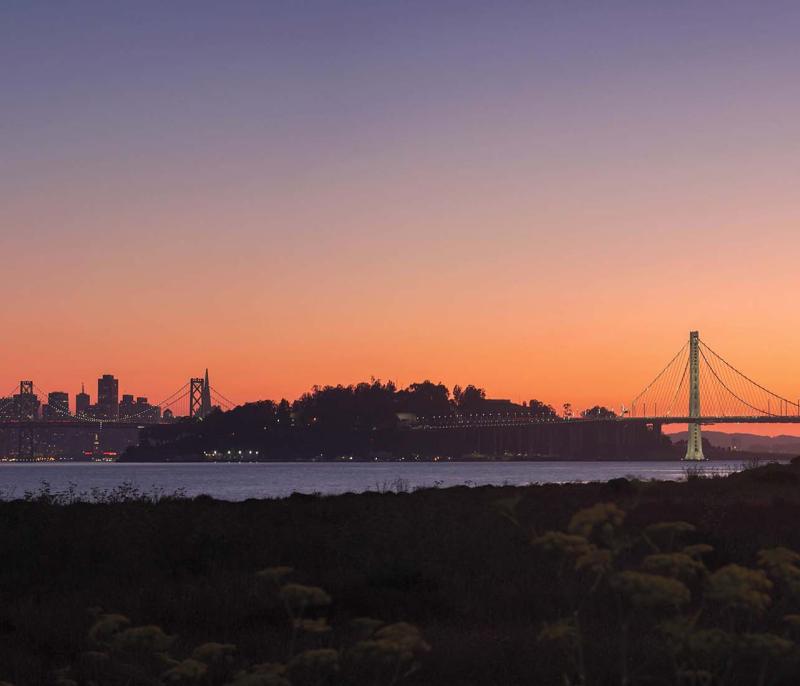 Shoreline park